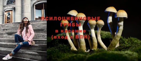 spice Балахна