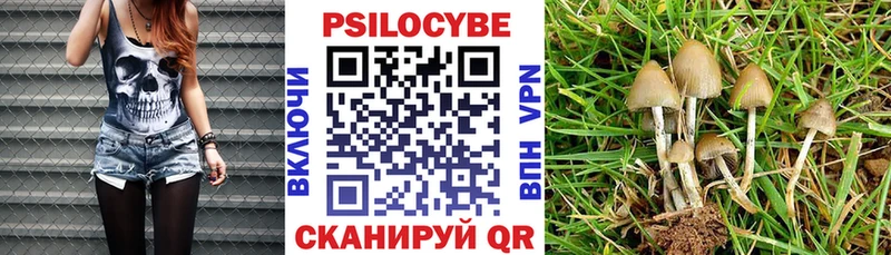 Галлюциногенные грибы прущие грибы  Купить  Бузулук 