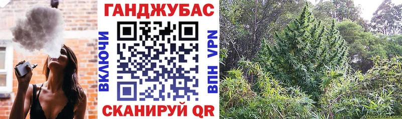 Купить закладки  Бузулук  Бошки Шишки Amnesia 